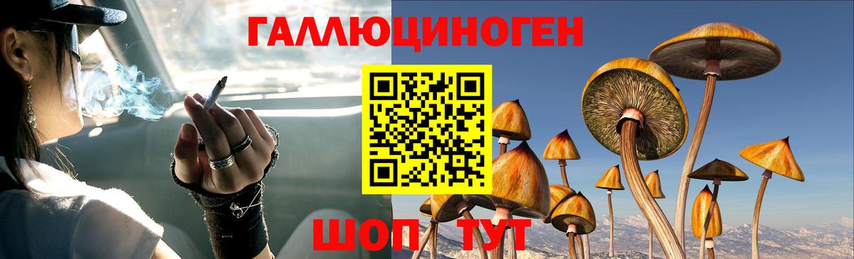 Псилоцибиновые грибы GOLDEN TEACHER Магнитогорск